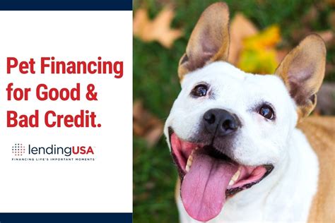 Good and bad credit. . Dog training financing